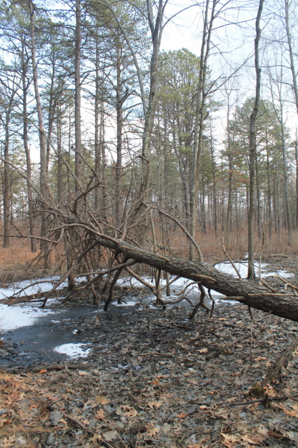 Photo: Still Some Snow and Ice Left