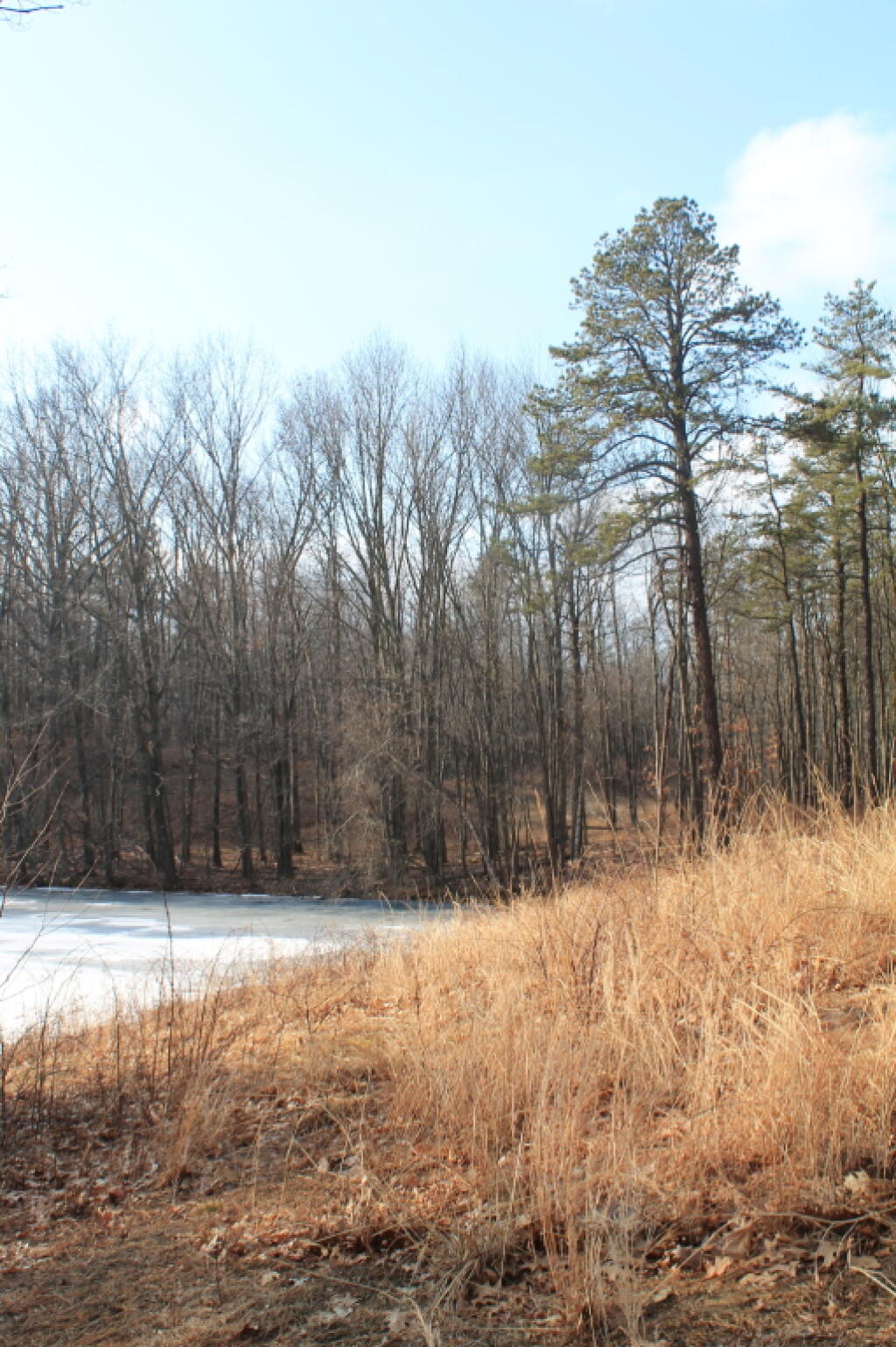 Photo: Pond