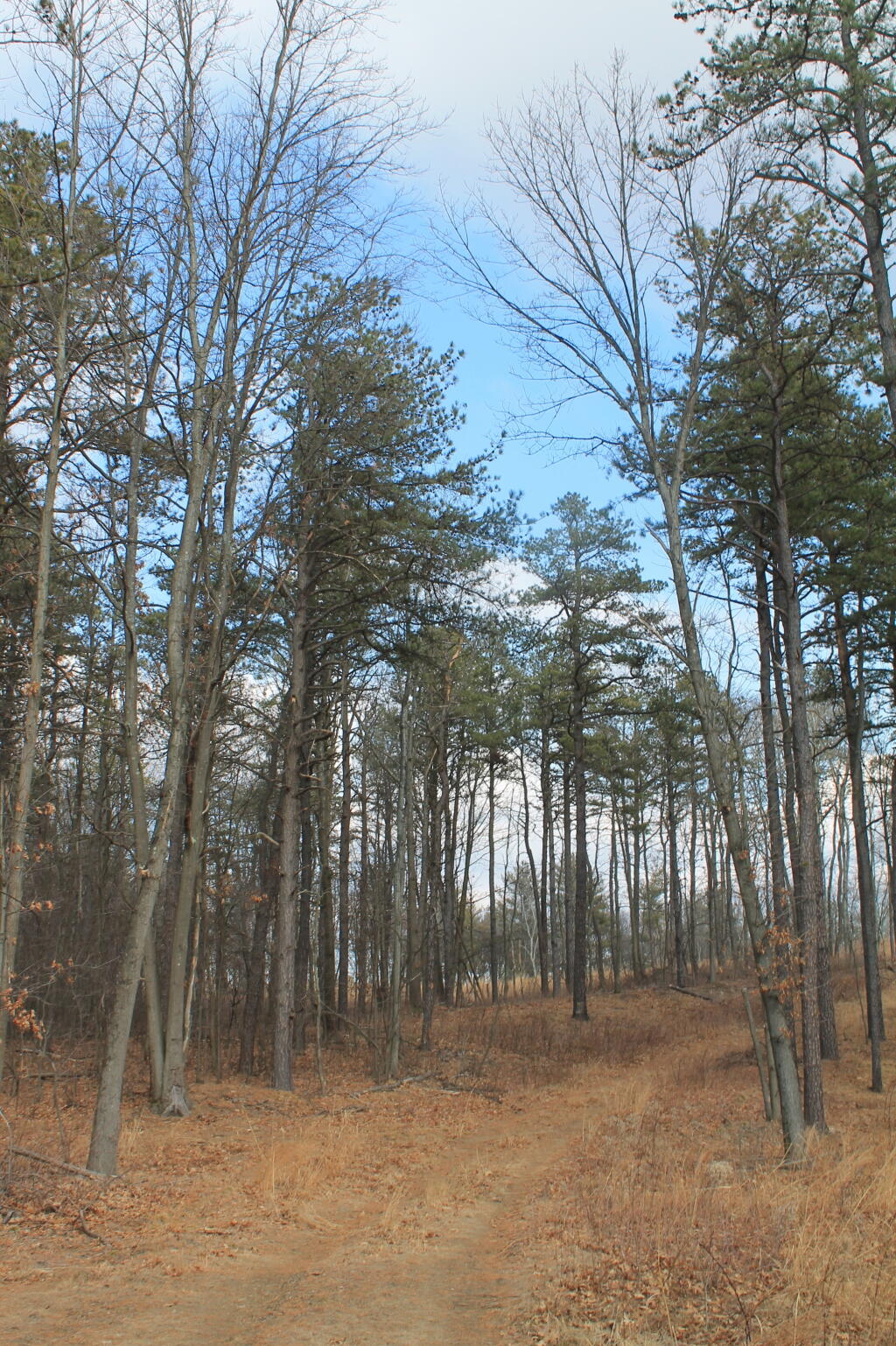 Photo: Trail