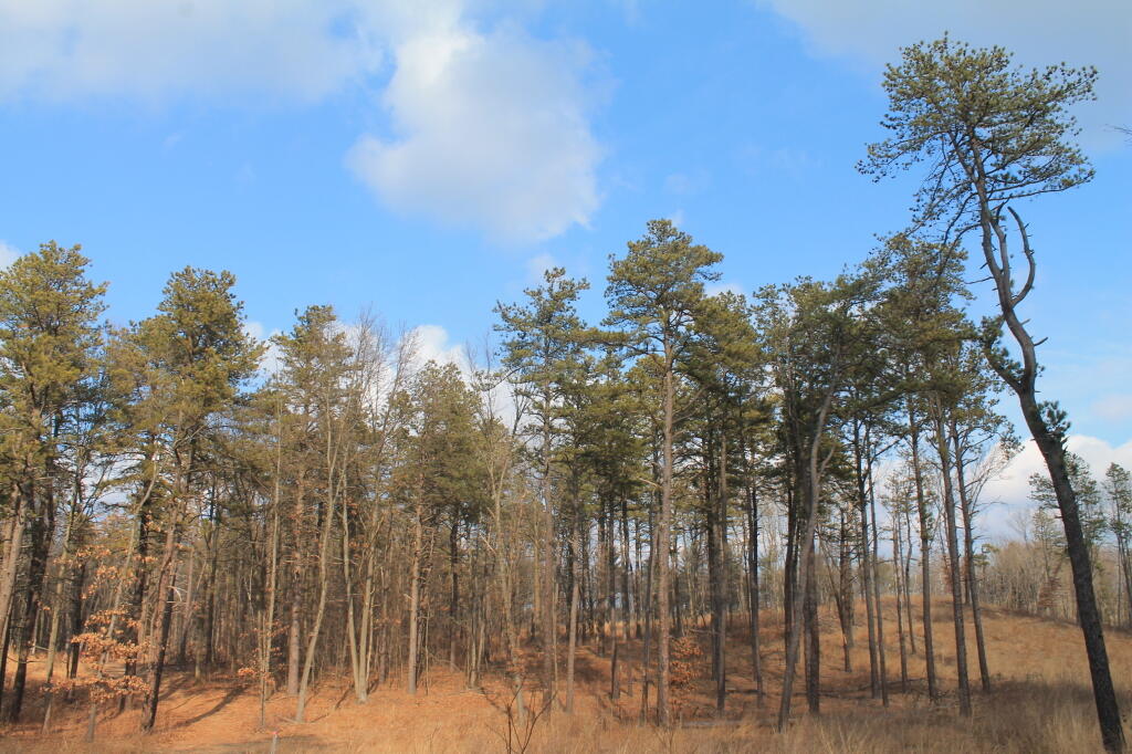 Photo: Untitled