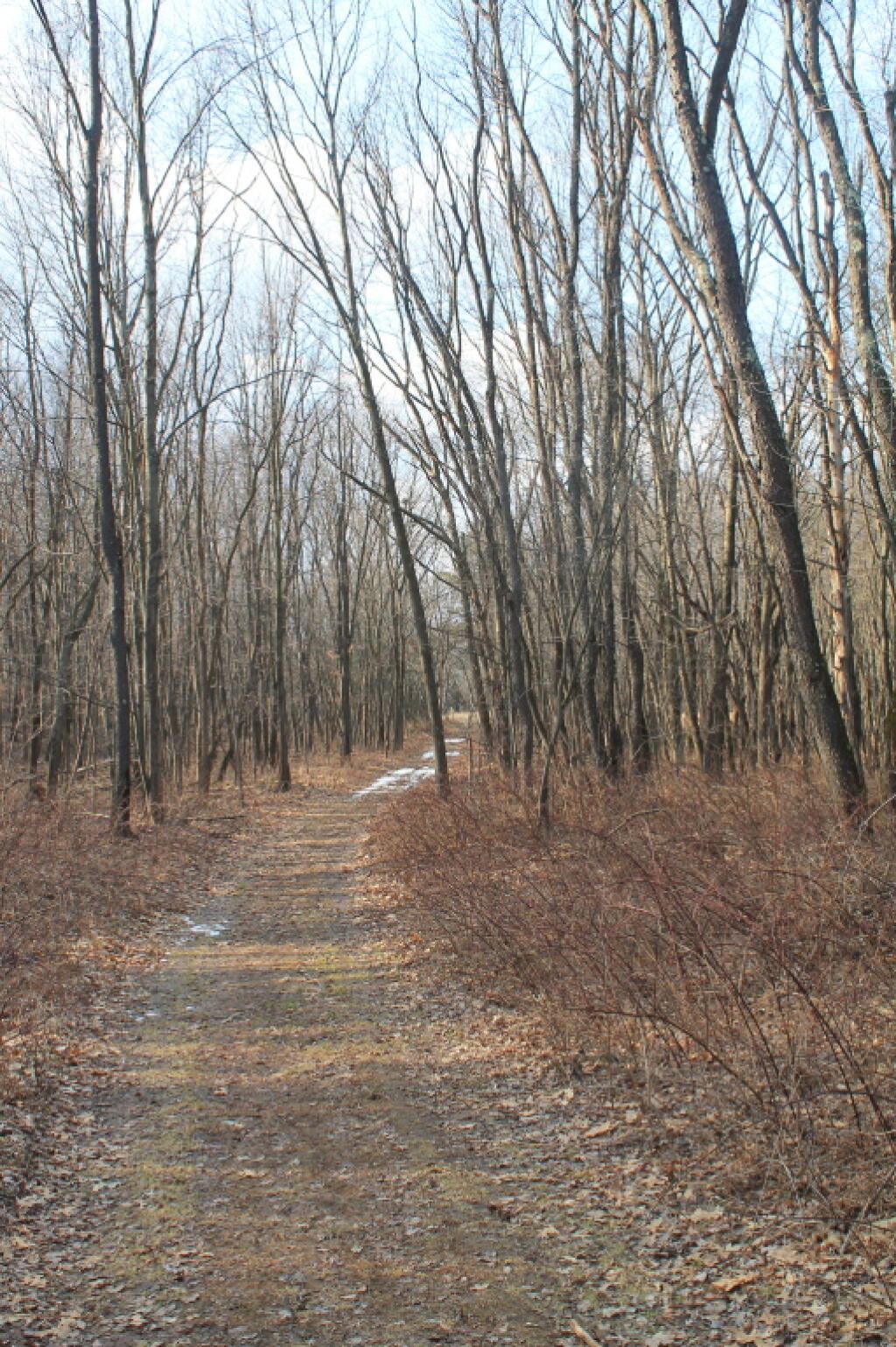 Photo: Along the Road Photo: Along the Road