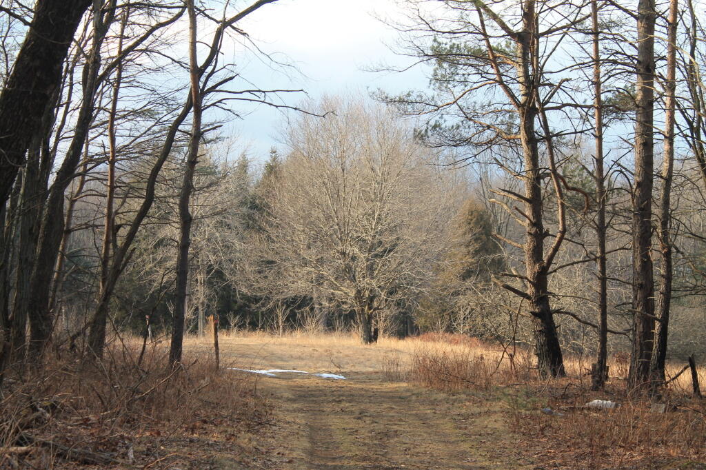 Photo: Entering the Old Meadow