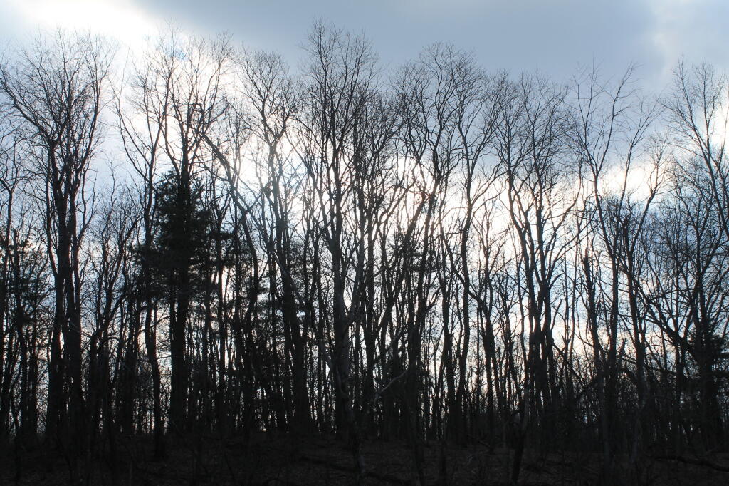 Photo: Gathering Clouds
