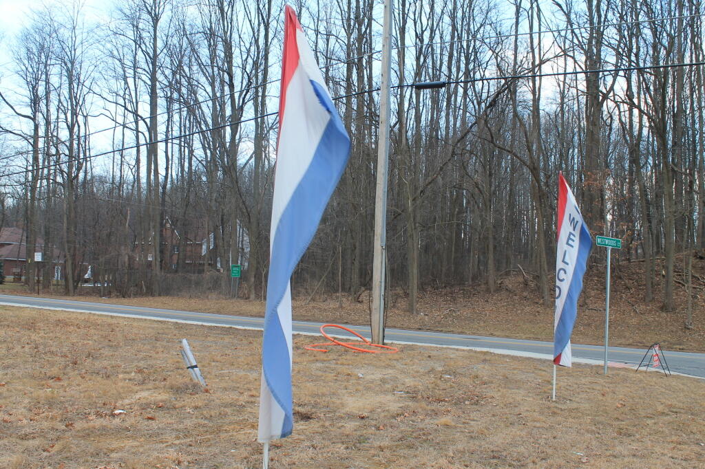 Photo: Welcome! To the Flattened Pine Bush. Photo: Welcome! To the Flattened Pine Bush.