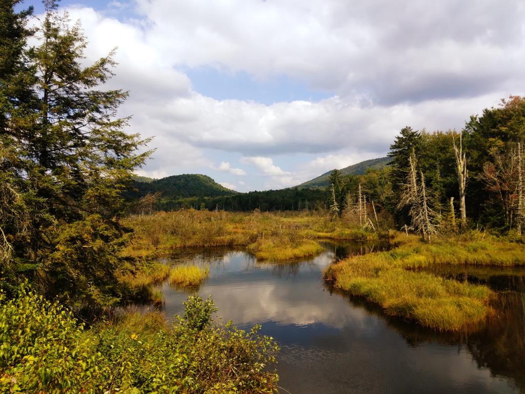 Photo: Kunjamunk River from Long Level Bridge