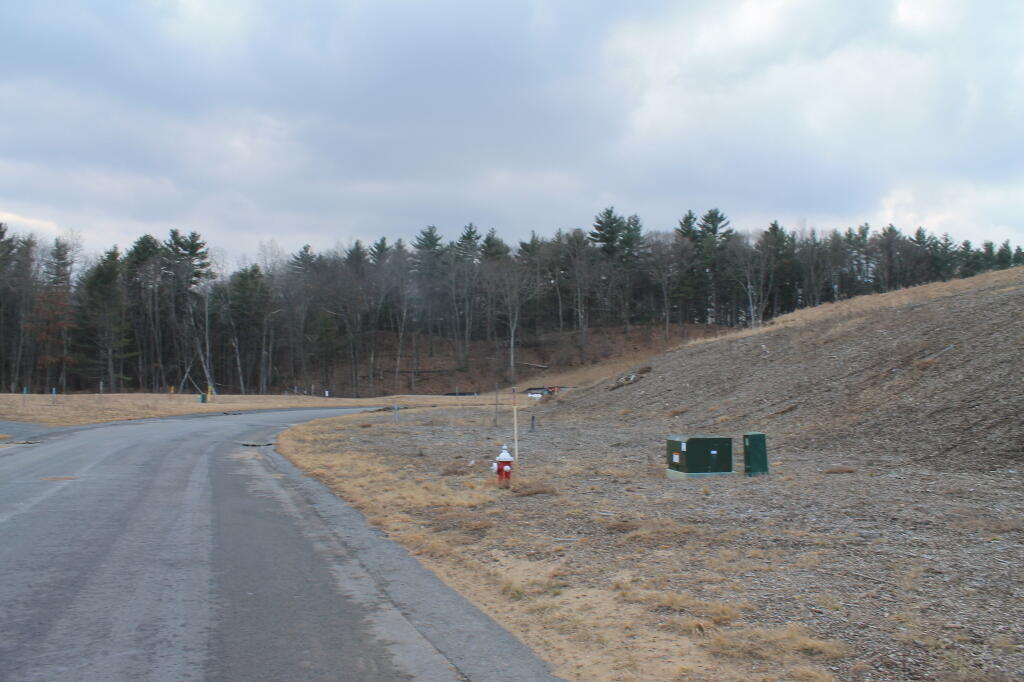 Photo: The Not Yet Bulldozed Part of Sand Dune Photo: The Not Yet Bulldozed Part of Sand Dune