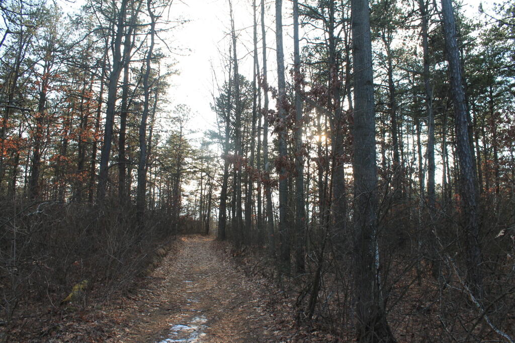 Photo: Wandering Back Photo: Wandering Back
