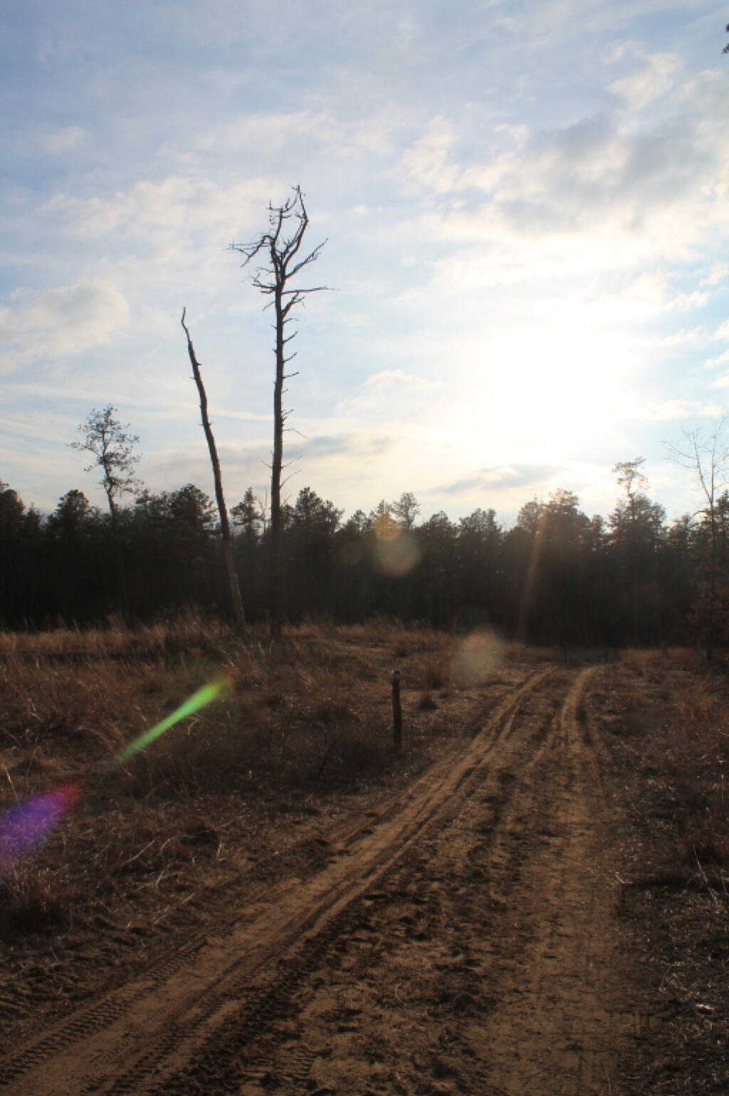 Photo: Sunlight Photo: Sunlight