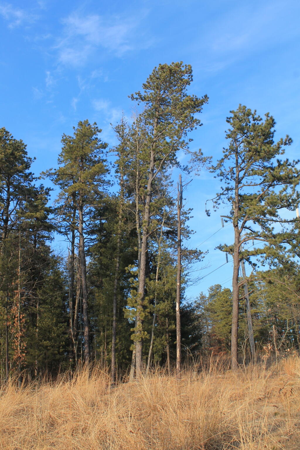 Photo: Untitled Photo: Untitled