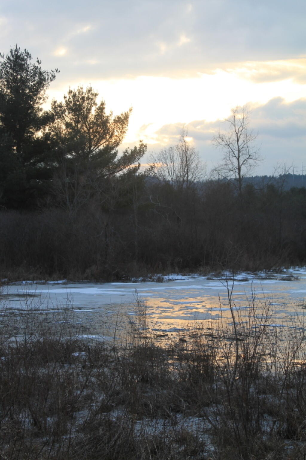 Photo: Reflect