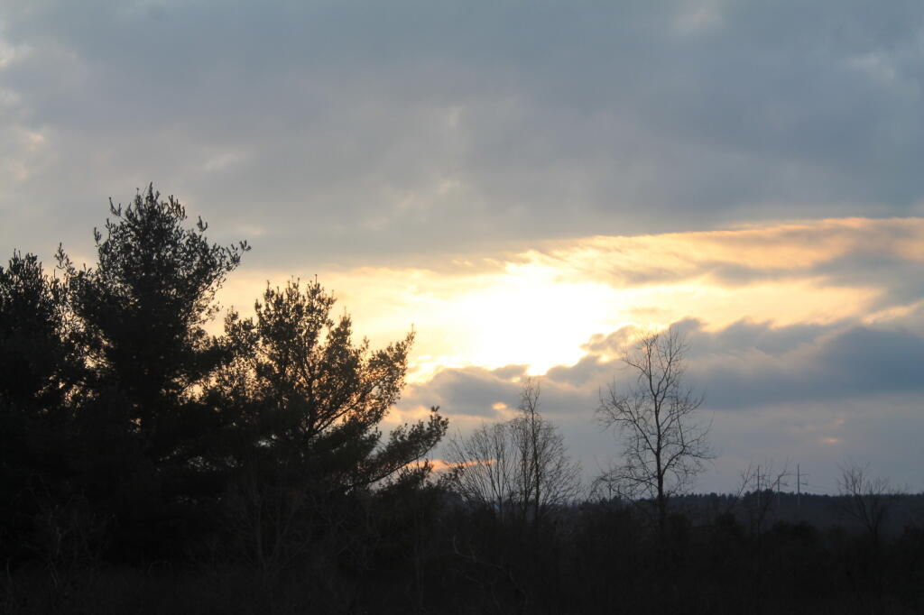 Photo: Peaking Thru
