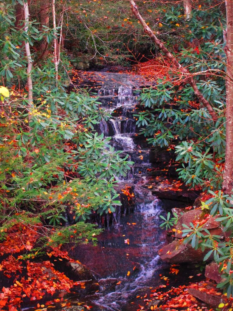 Photo: Falls Along Canaan Loop Road Photo: Falls Along Canaan Loop Road
