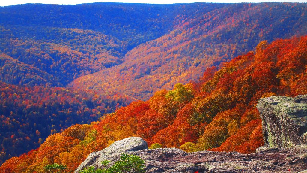 Photo: Mount Red Photo: Mount Red