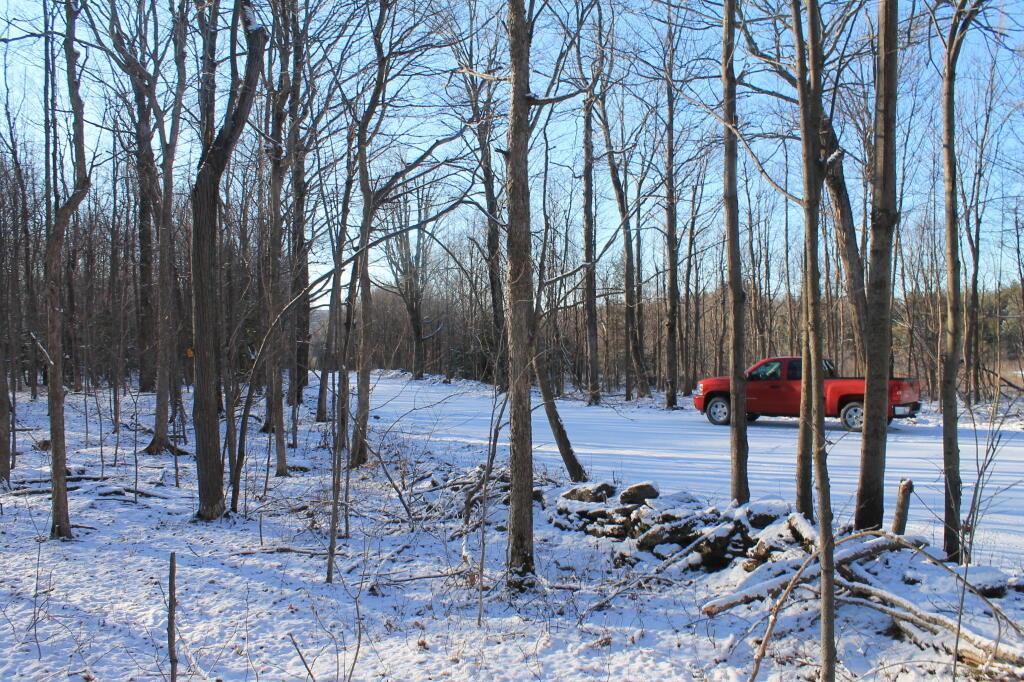 Photo: Starting Out on the Trail