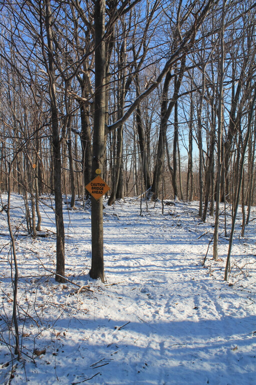Photo: No Snowmobiles on This Trail