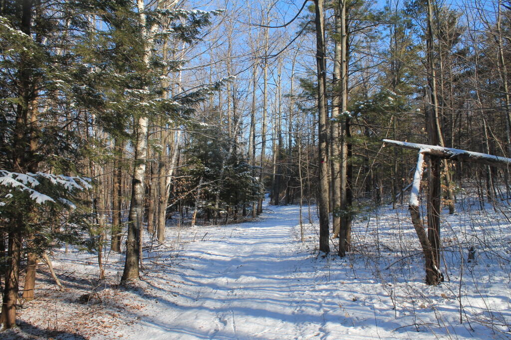 Photo: Fresh Snow on Hang Gliders Road Photo: Fresh Snow on Hang Gliders Road