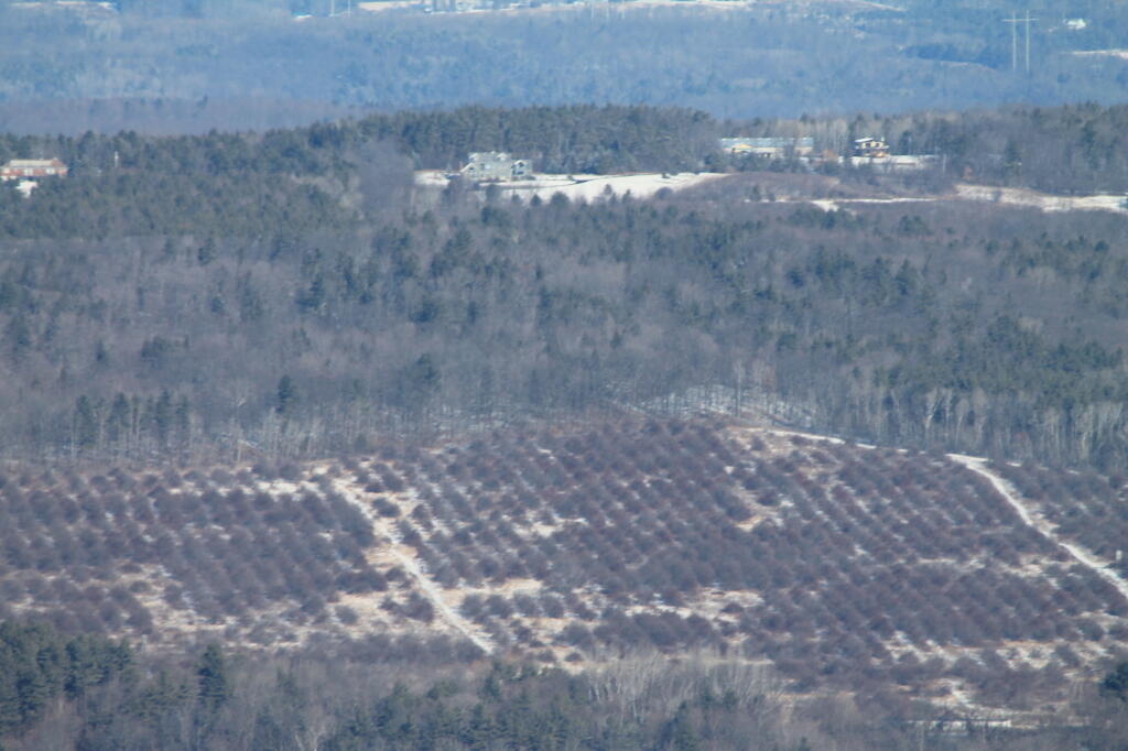Photo: Orchards Photo: Orchards