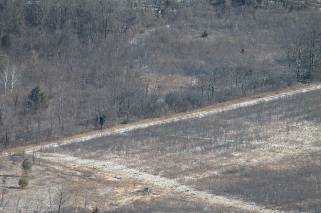 Photo: Grown Up Farm Field Photo: Grown Up Farm Field