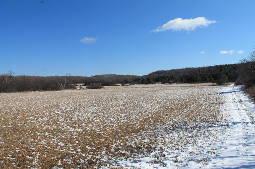 Photo: Snow Along Edge of Field Photo: Snow Along Edge of Field