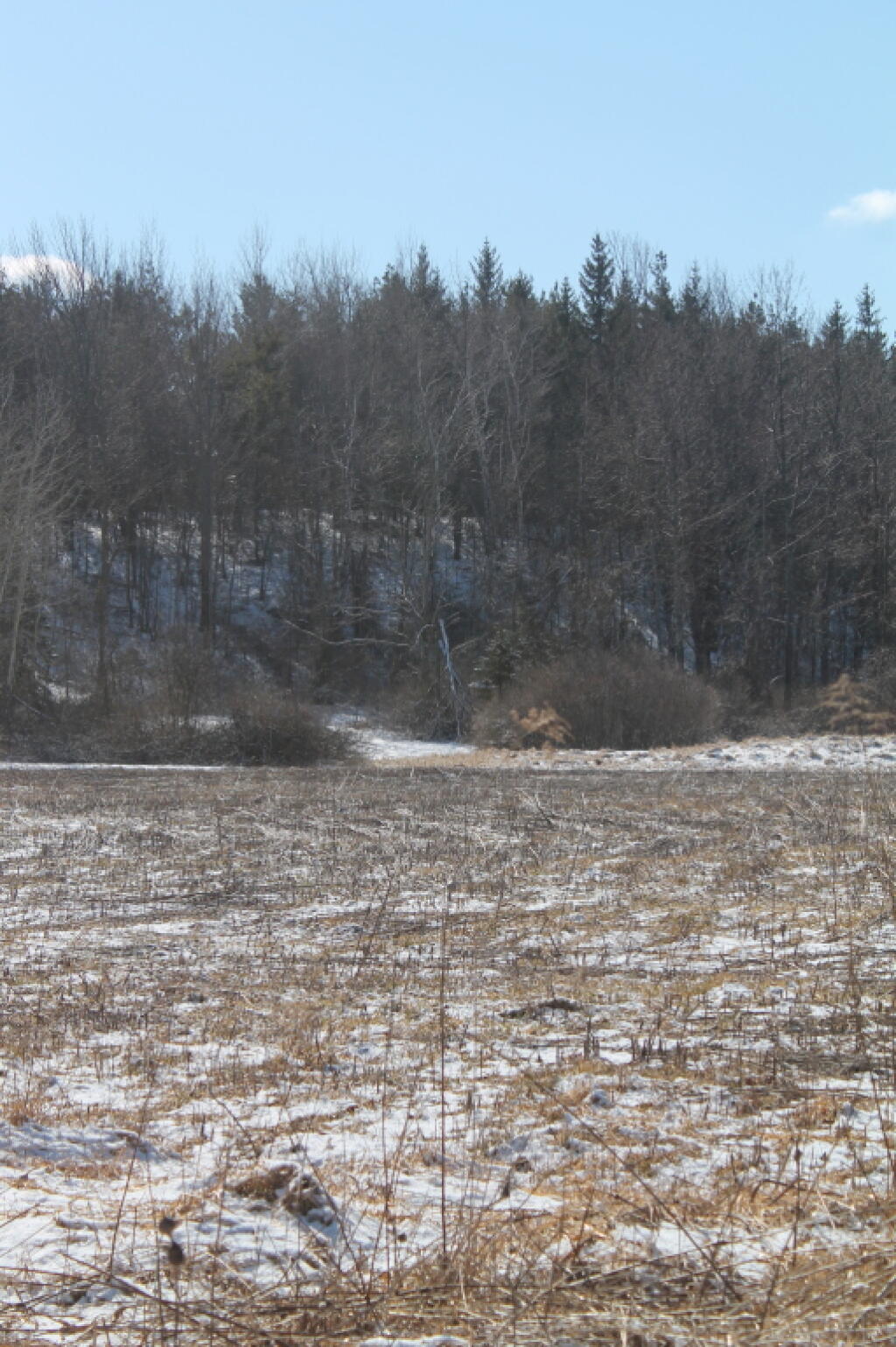 Photo: Fertlized Farm Field Photo: Fertlized Farm Field