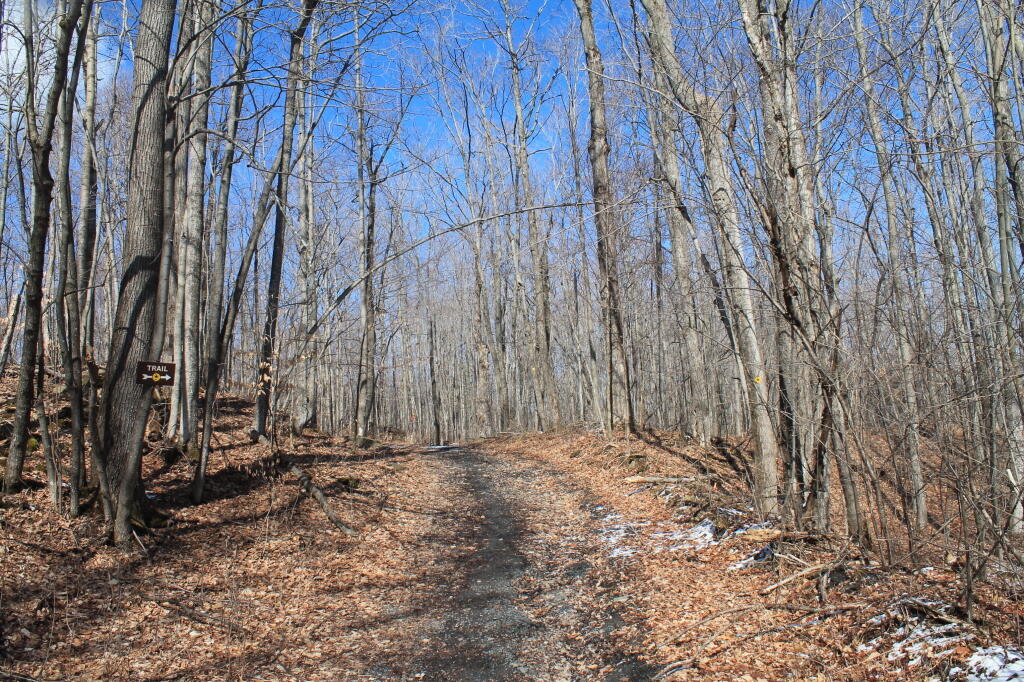Photo: Nice Day on Carrick Road