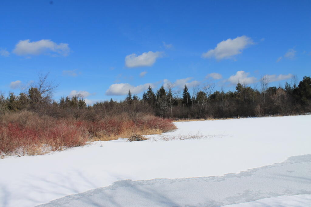 Photo: Frozen Pond