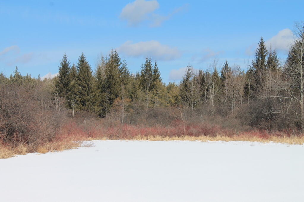 Photo: Ice Covered Lake