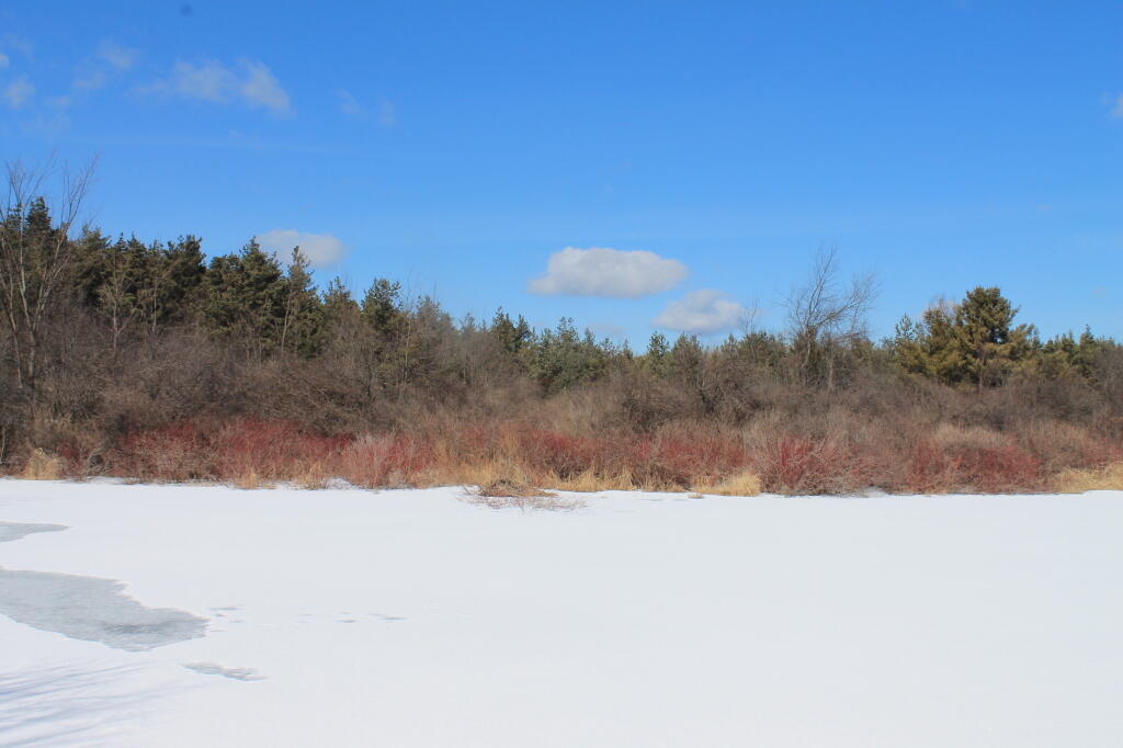 Photo: Frozen Lake Photo: Frozen Lake