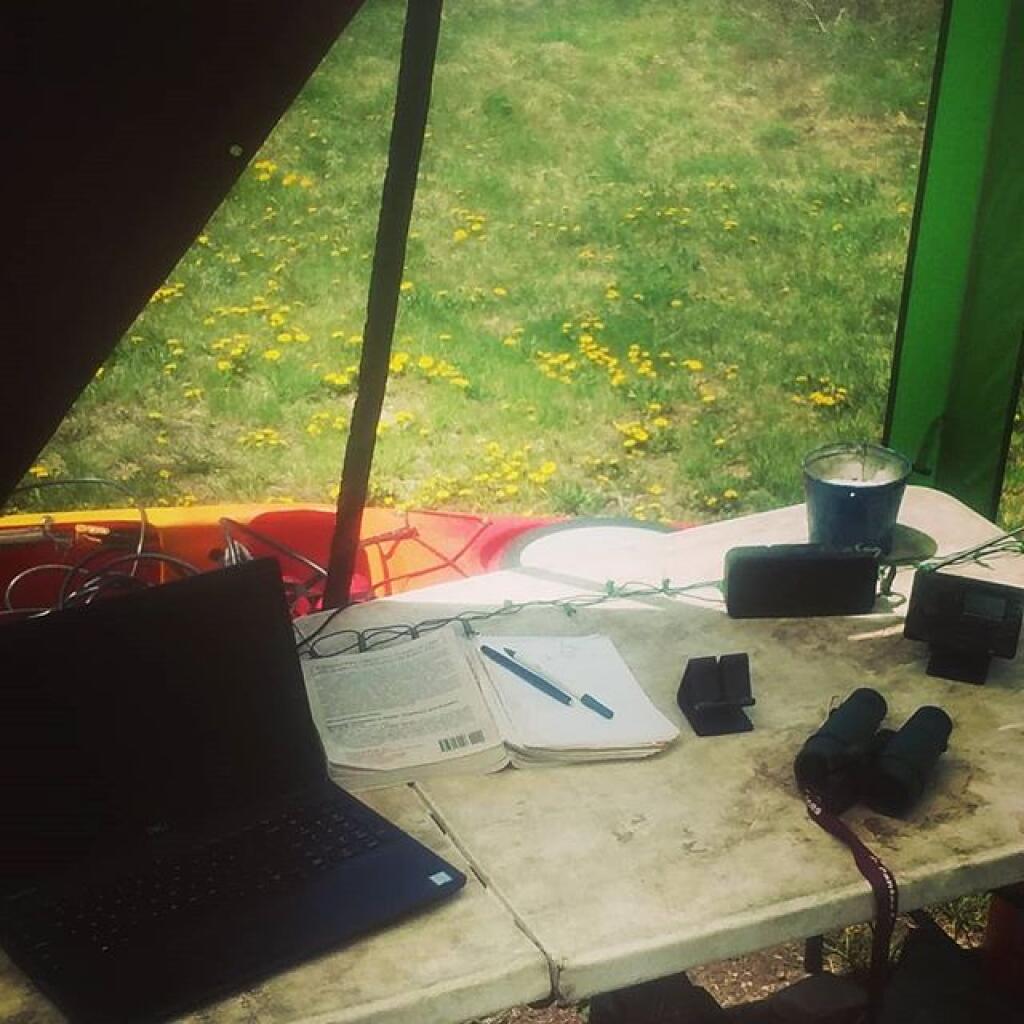 Photo: Not a bad place to work from