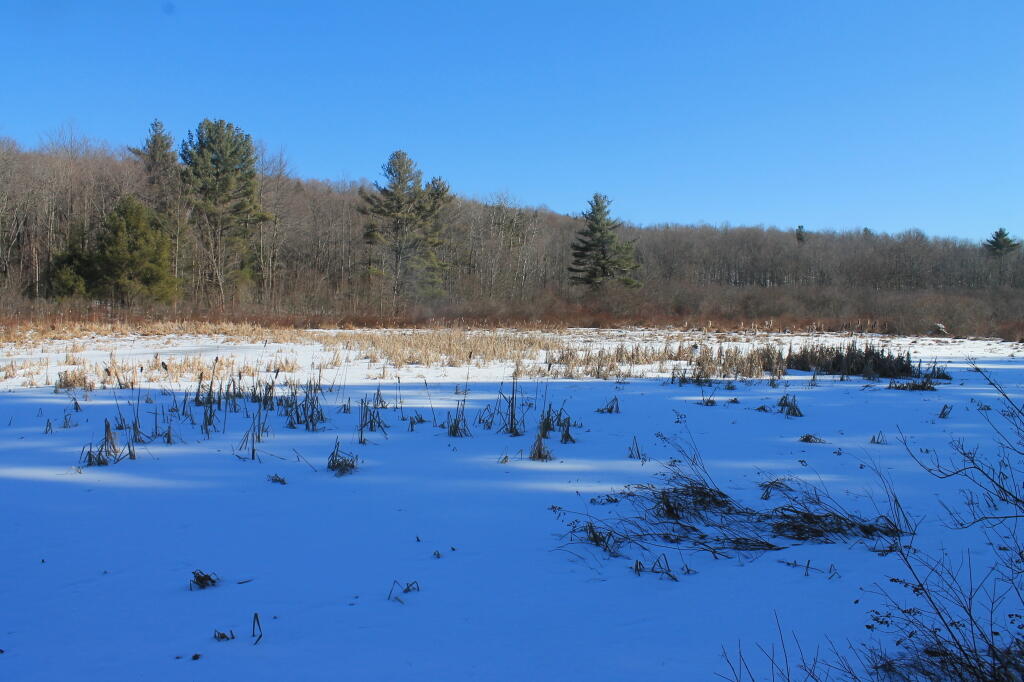 Photo: Across the Frozen Marsh Photo: Across the Frozen Marsh