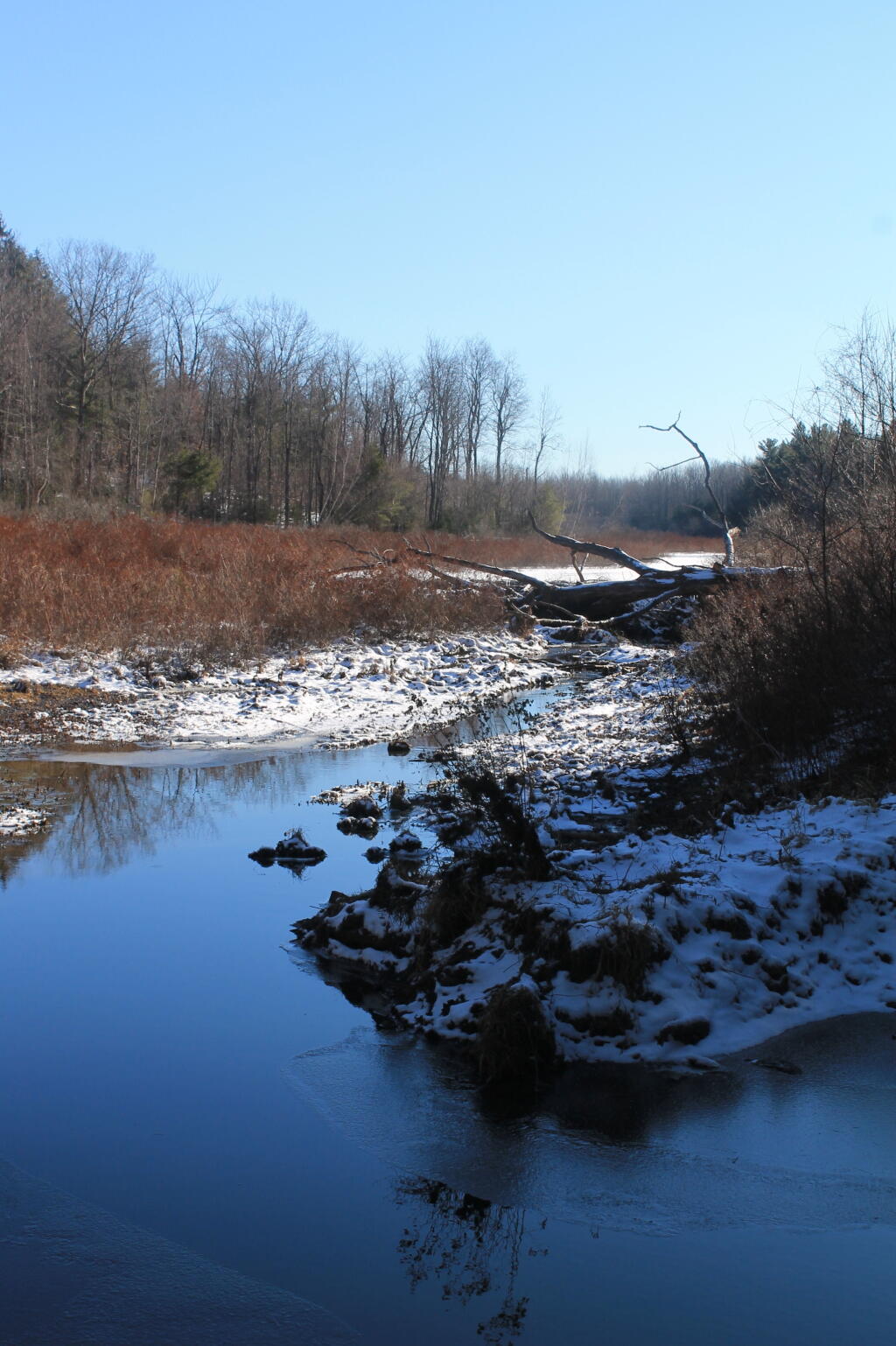 Photo: Water and Ice
