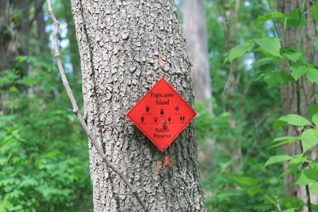 Photo: Papscanee Island Trail