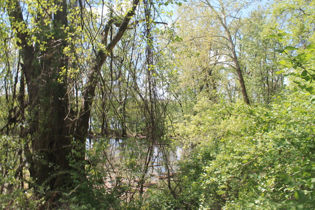 Photo: Water Photo: Water