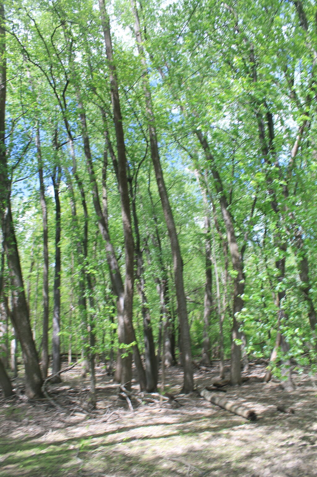 Photo: In the Flood Zone Photo: In the Flood Zone