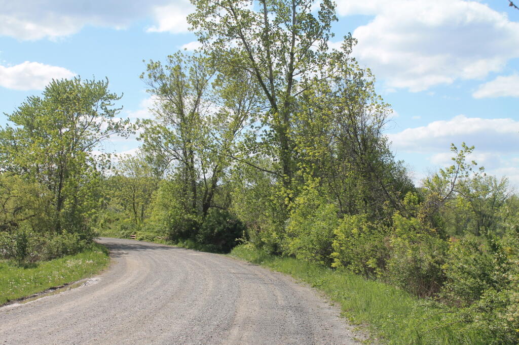 Photo: Staats Island Road Photo: Staats Island Road