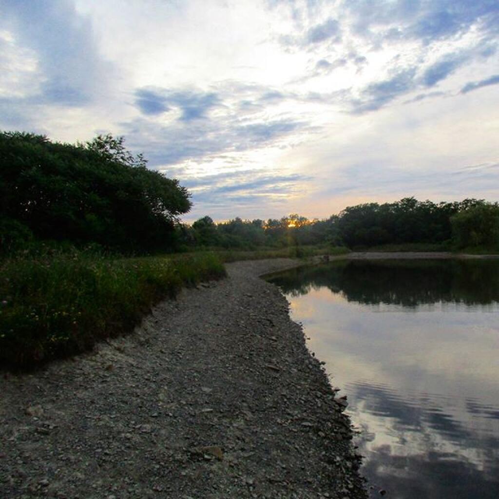 Photo: Foster Pond is about 4 ft below normal Photo: Foster Pond is about 4 ft below normal