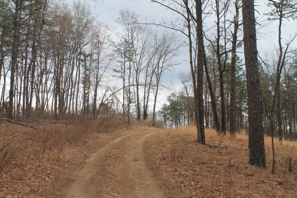 Photo: Recently Restored Area