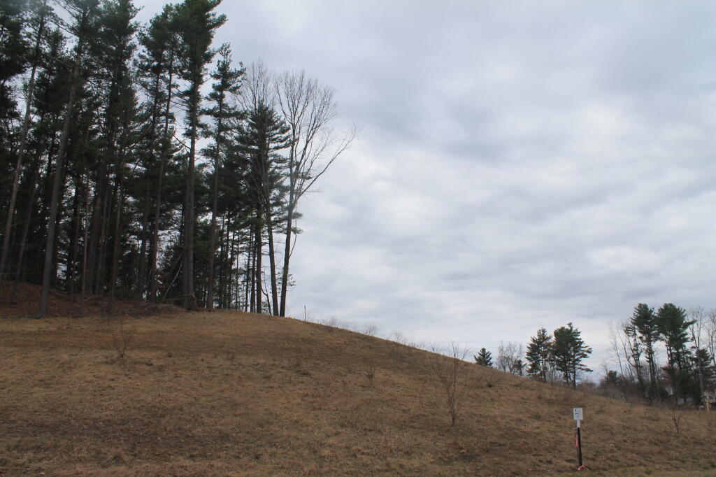 Photo: What Pine Bush Dune ? Photo: What Pine Bush Dune ?