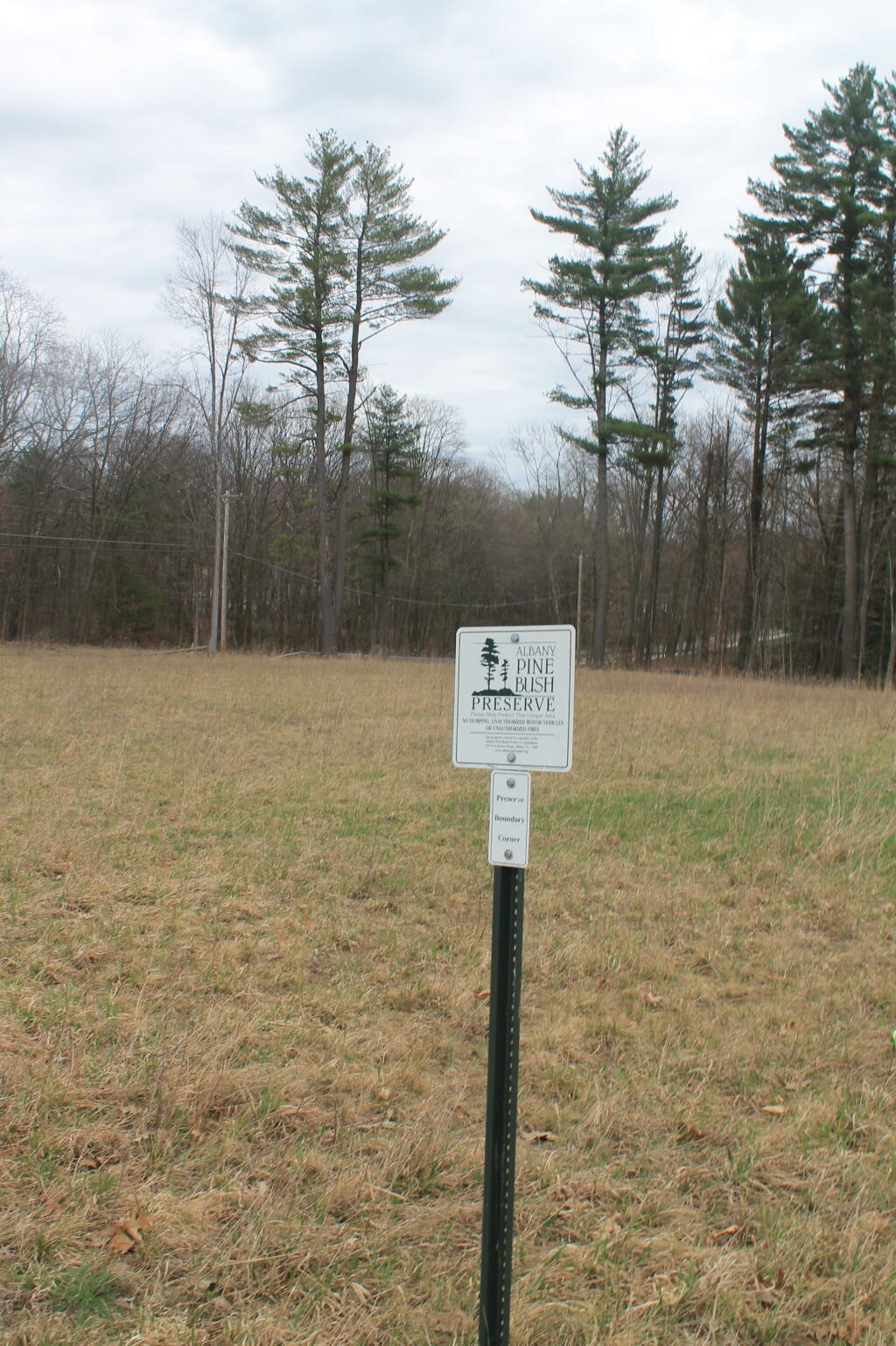 Photo: Bulldozed Pine Bush Preserve Photo: Bulldozed Pine Bush Preserve