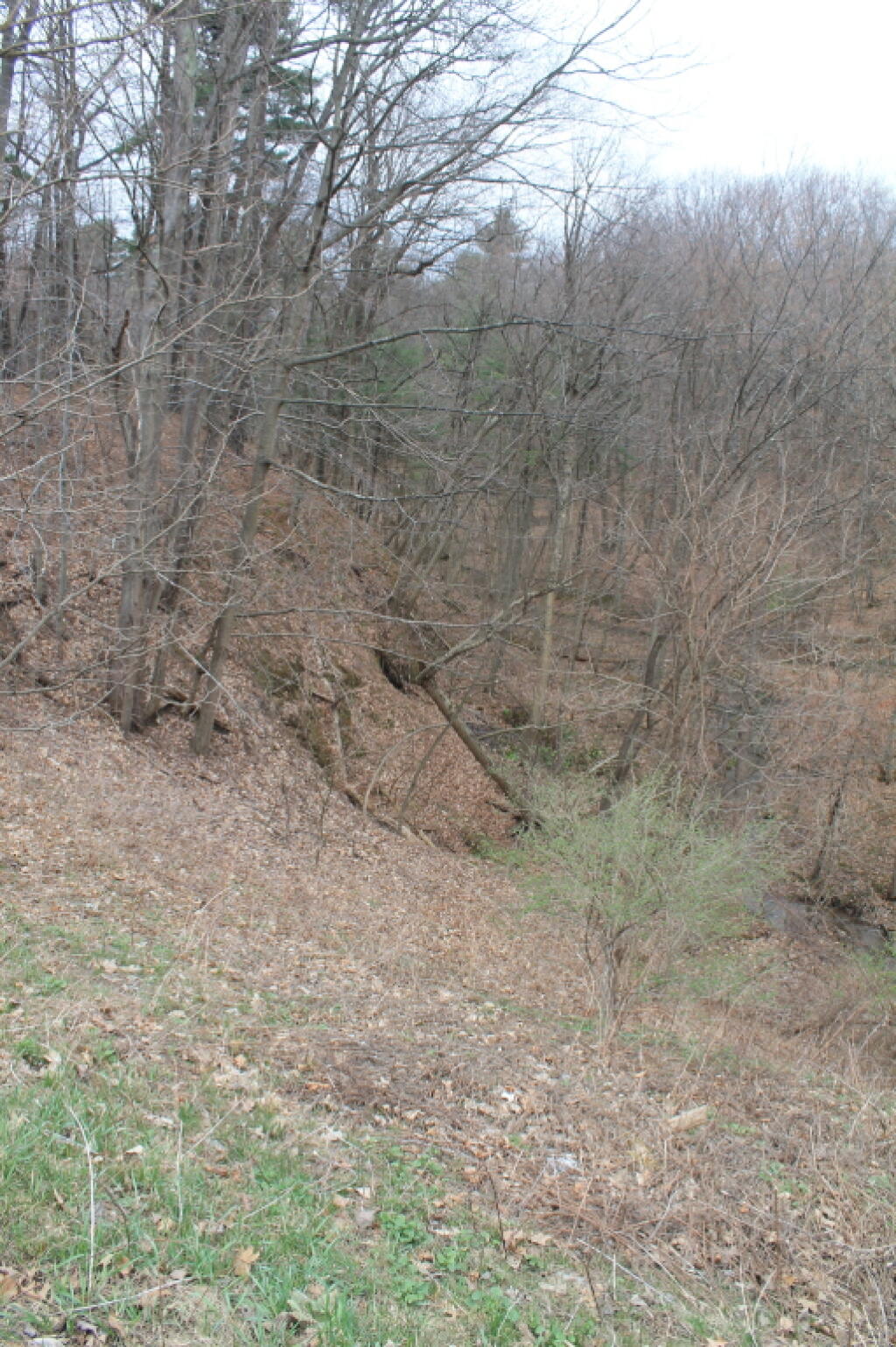 Photo: The Cliff or Dune