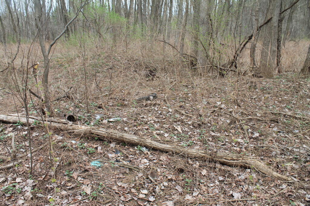 Photo: Trash Dump Along Old Road