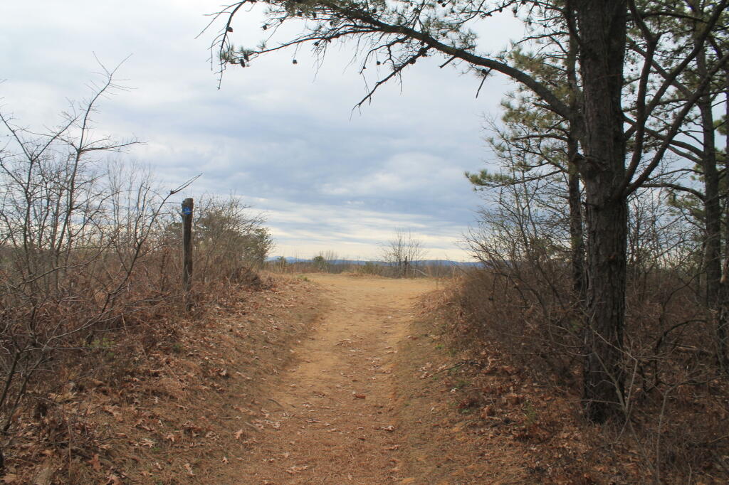 Photo: Heading Up Dune