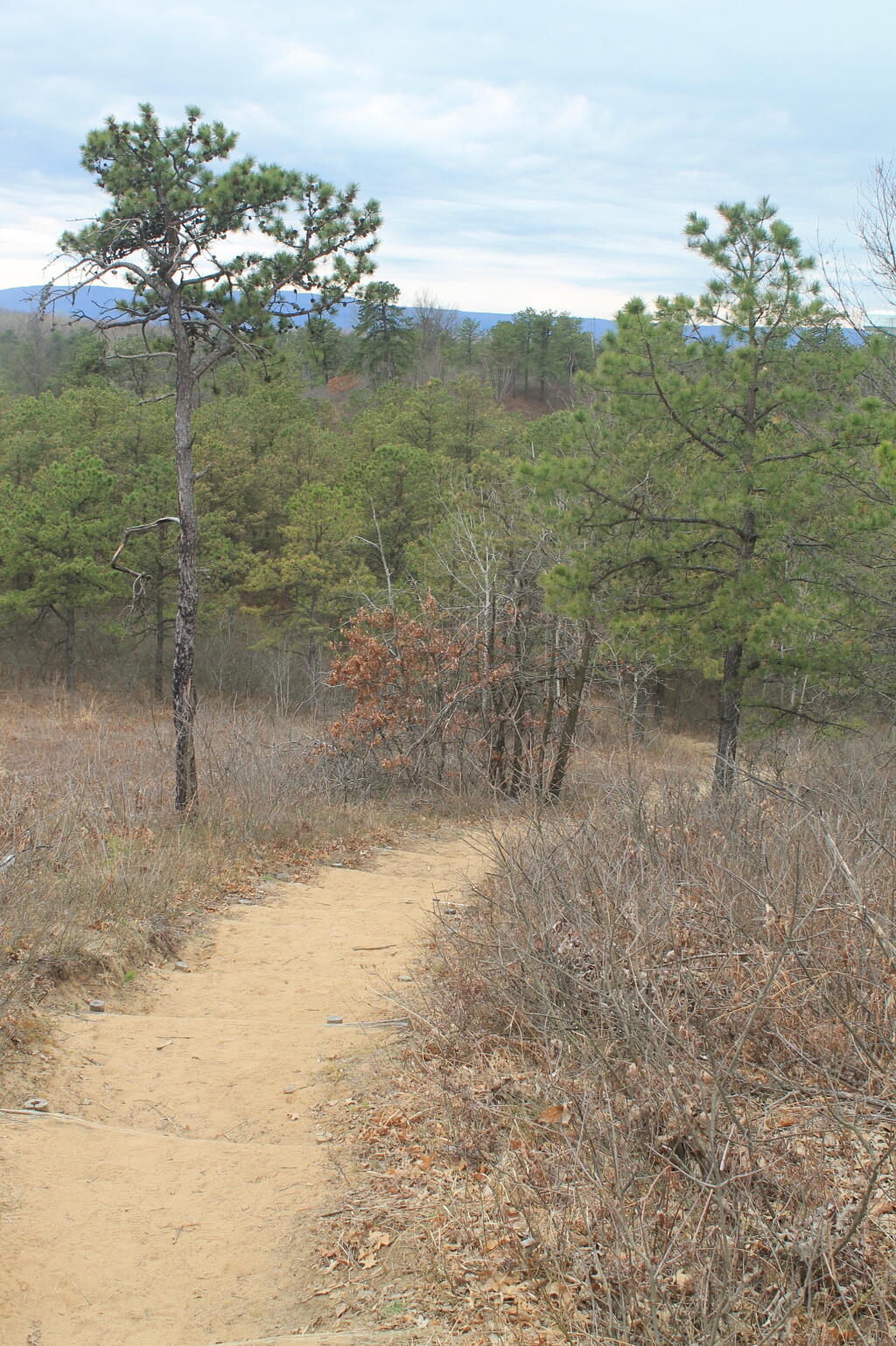 Photo: Descending Overlook Dune