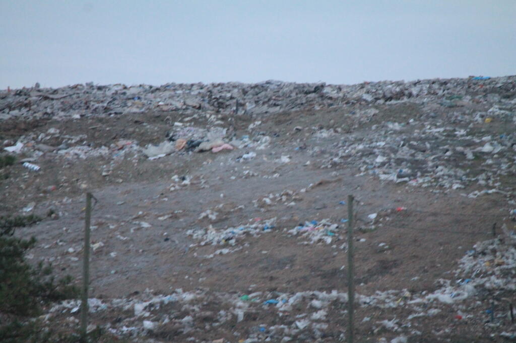 Photo: Trash Close Up