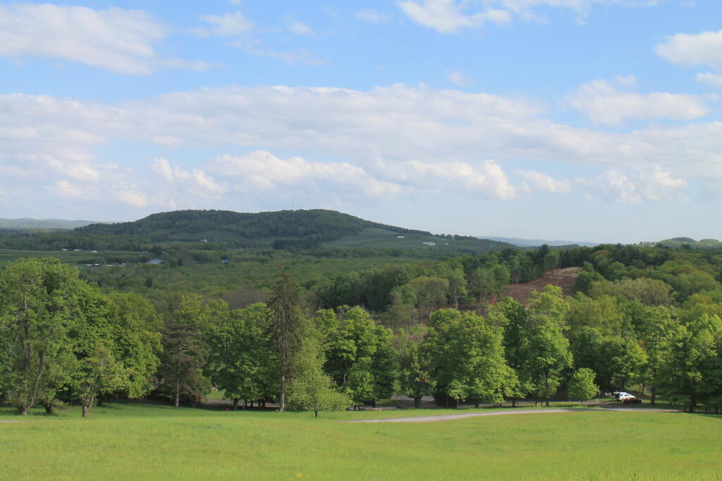Photo: South Hill Photo: South Hill