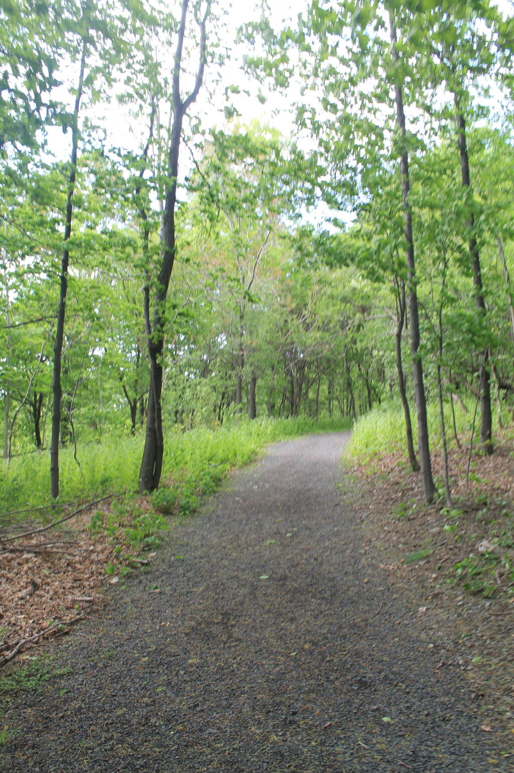 Photo: Carriage Road