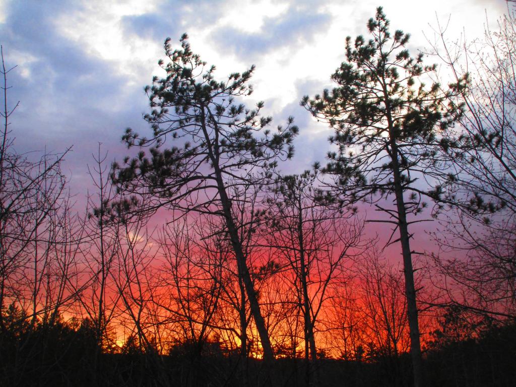 Photo: Firery Photo: Firery