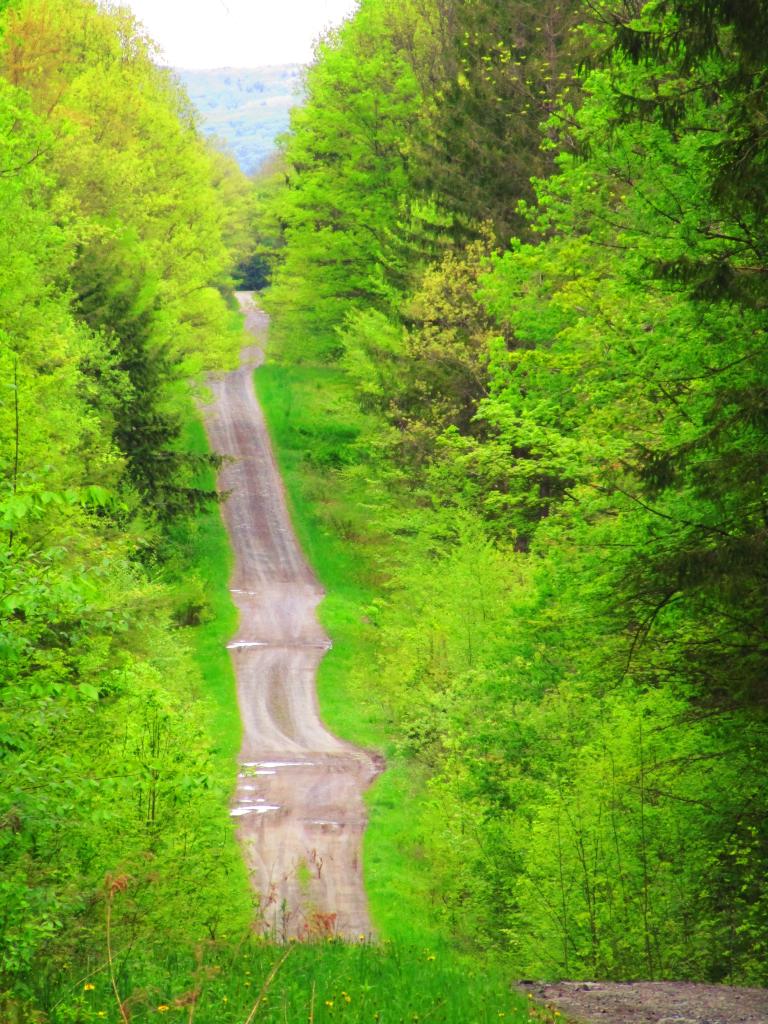 Photo: Country Roads