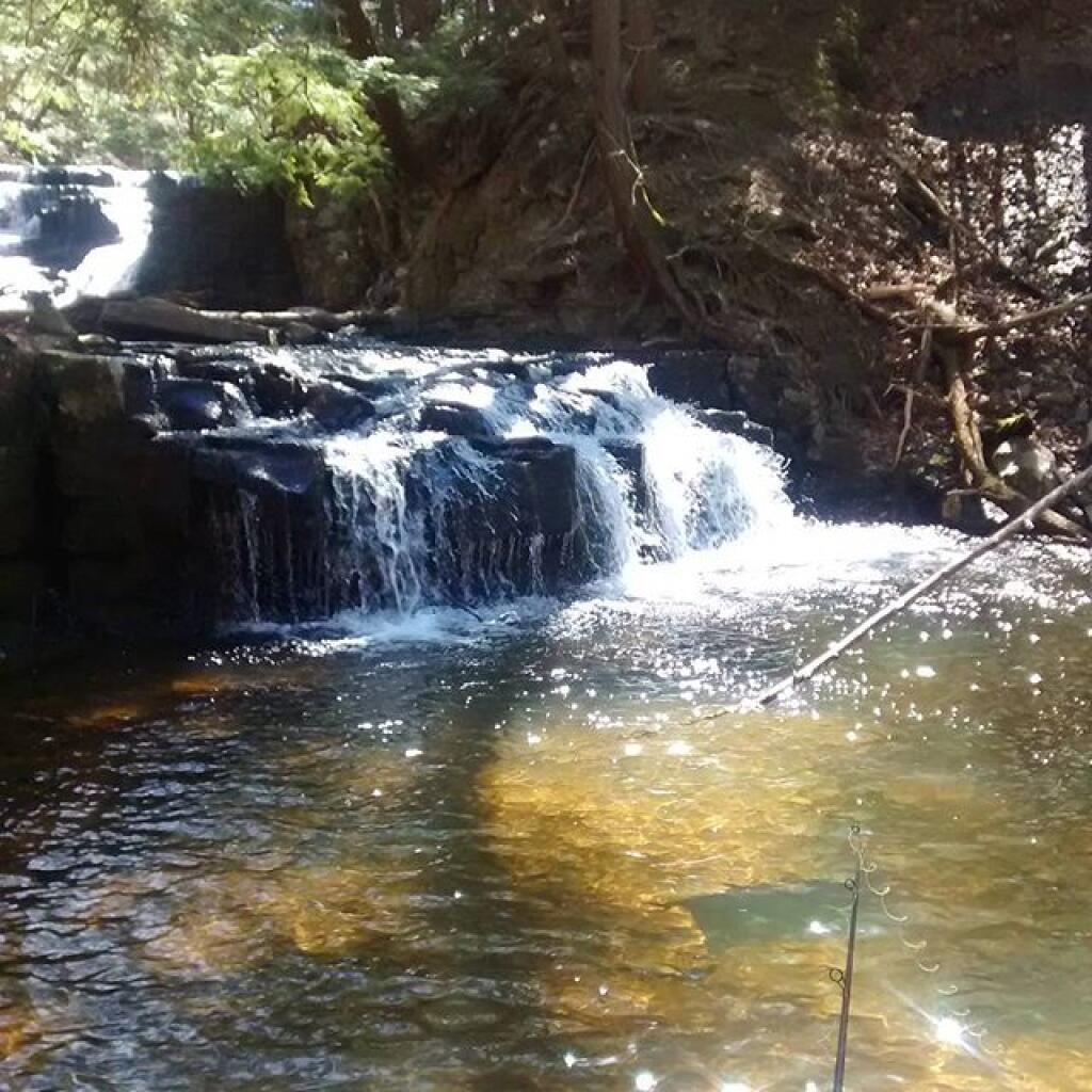 Photo: Pretty place to waste time Photo: Pretty place to waste time