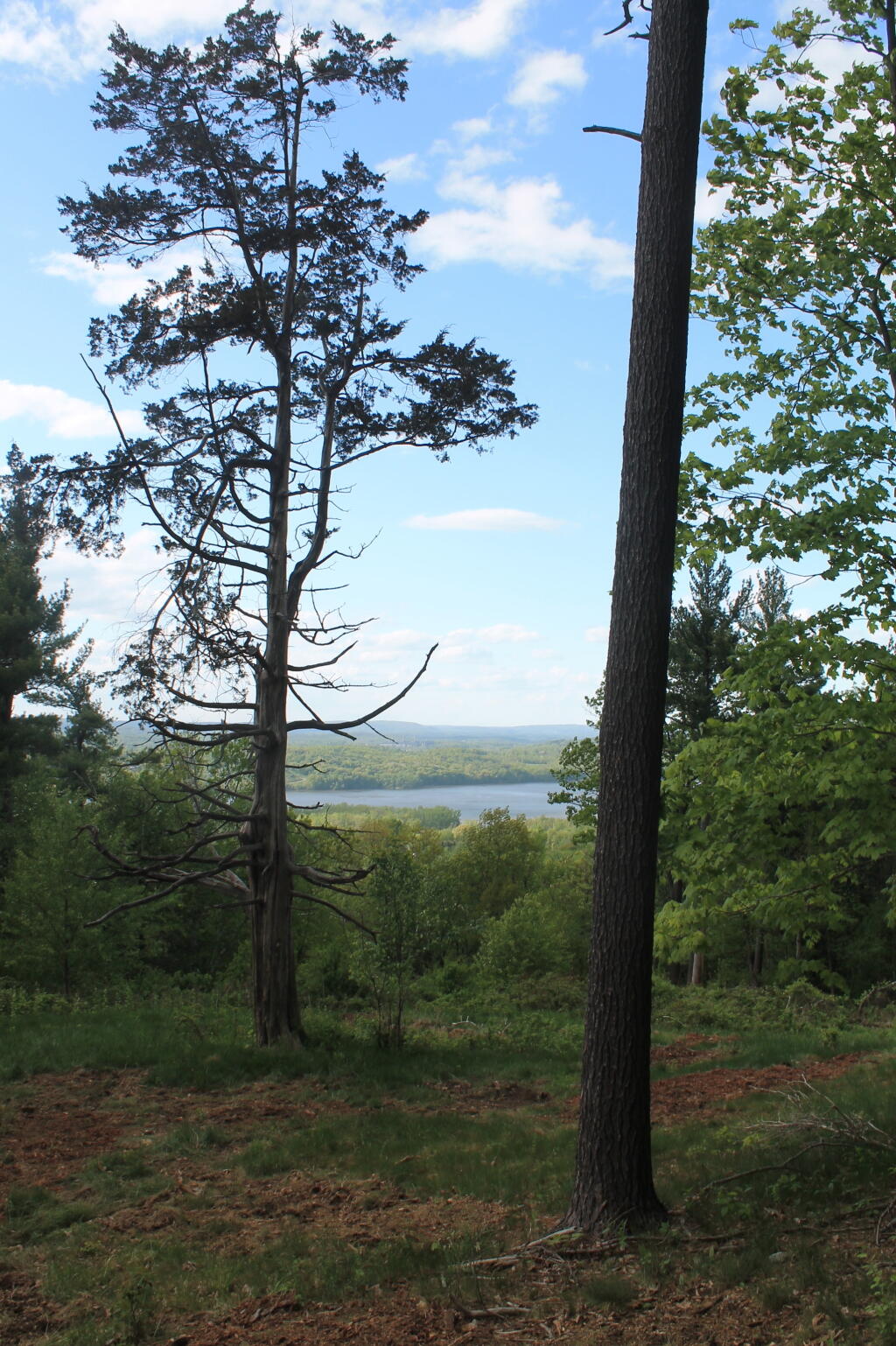 Photo: Peaking Out Over the Hudson River